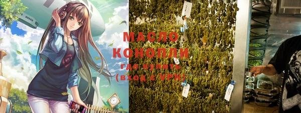 молекула духа Балахна