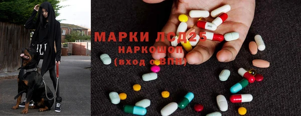 дмт Переславль-Залесский