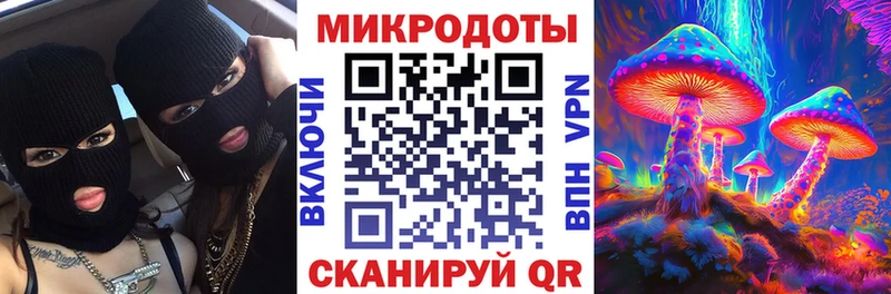 Псилоцибиновые грибы ЛСД Нерюнгри